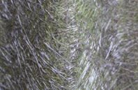 Tattingstone White Horse fibreglass roof work